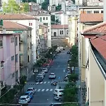 Elvi