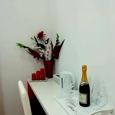 Elvi 2*