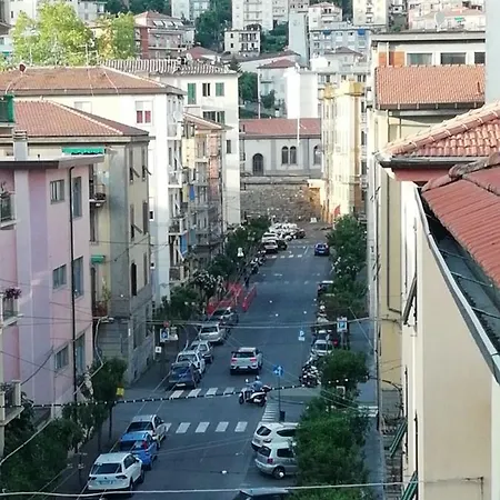Elvi